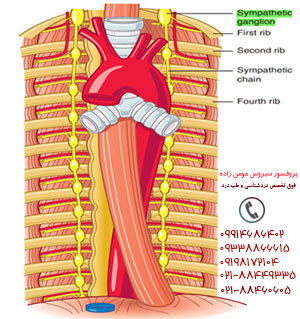 drMomenzadeh,پروفسور دکتر سیروس مومن زاده,  دکتر سیروس مومن زاده ,سیروس مومن زاده, پروفسور سیروس مومن زاده, درد شناسی, فوق تخصص, درمان درد, درد, لیزر درمانی, لیزرتراپی, ازن تراپی, اوزون درمانی, درد کمر, کمردرد, درد پا, درد گردن, گردن درد, درد دست, زانو درد, درد زانو,   مفاصل فست گردنی, ستون فقرات, آرتریت, پشت سر, ضعف سیستم ایمنی, گاید سونوگرافی,  درد حنجره, درد حنجره, درد دهان, عصب گلوسوفارنژیال, بلاک گانگلیون ستلایت, Stellate ganglion