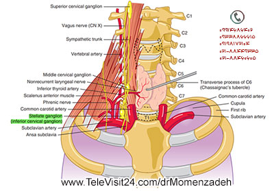 drMomenzadeh,پروفسور دکتر سیروس مومن زاده,  دکتر سیروس مومن زاده ,سیروس مومن زاده, پروفسور سیروس مومن زاده, درد شناسی, فوق تخصص, درمان درد, درد, لیزر درمانی, لیزرتراپی, ازن تراپی, اوزون درمانی, درد کمر, کمردرد, درد پا, درد گردن, گردن درد, درد دست, زانو درد, درد زانو,   مفاصل فست گردنی, ستون فقرات, آرتریت, پشت سر, ضعف سیستم ایمنی, گاید سونوگرافی,  درد حنجره, درد حنجره, درد دهان, عصب گلوسوفارنژیال, بلاک گانگلیون ستلایت, Stellate ganglion