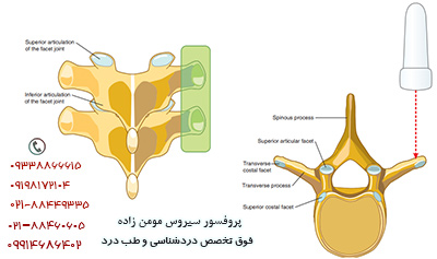 drCyrusMomenzadeh