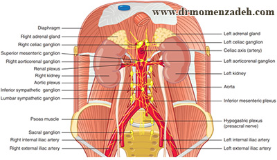 drCyrusMomenzadeh