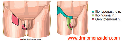 drCyrusMomenzadeh