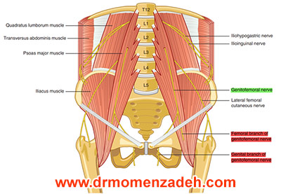 drCyrusMomenzadeh