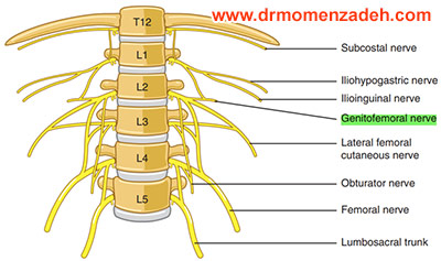 drCyrusMomenzadeh