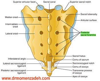 drCyrusMomenzadeh