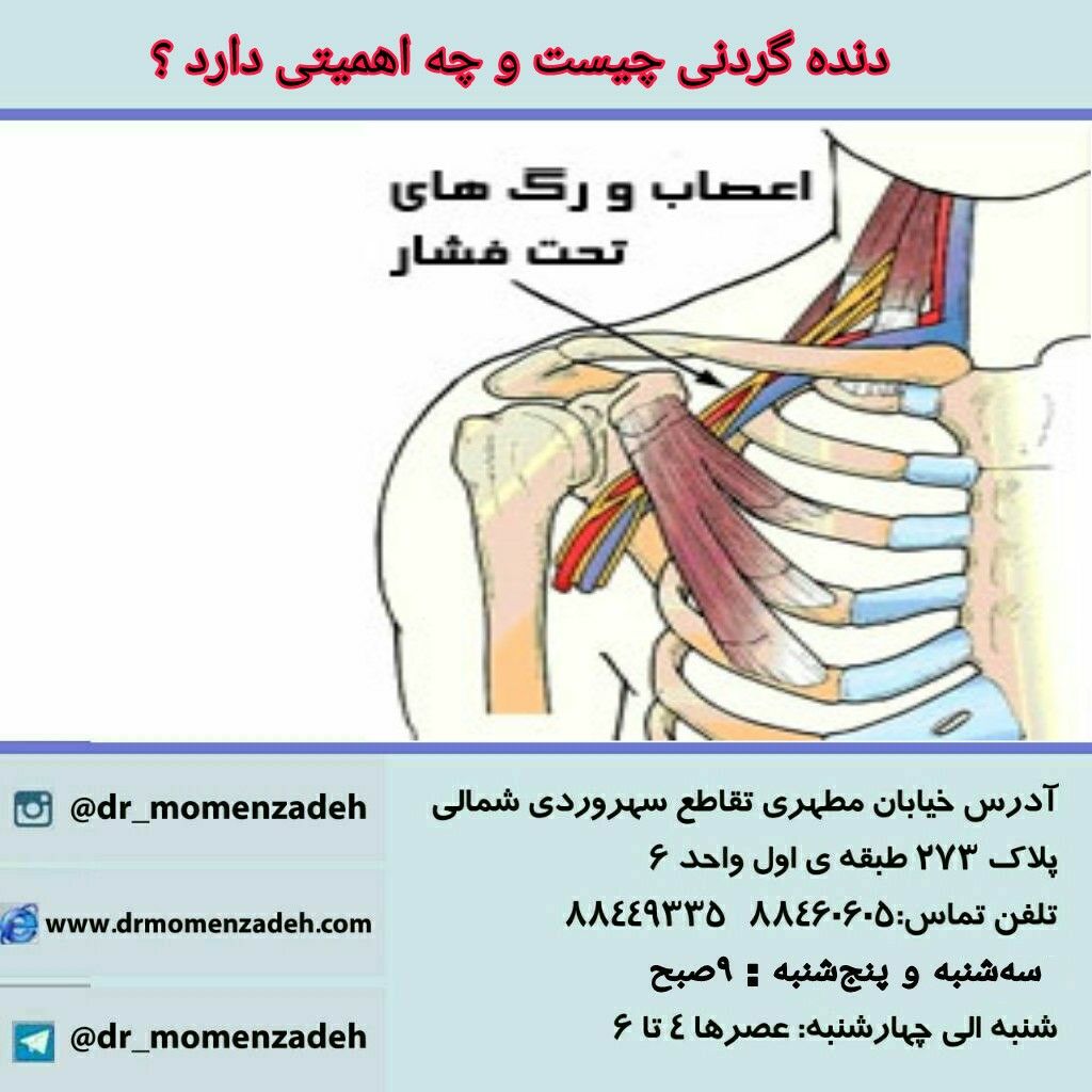 دنده گردنی چیست و چه اهمیتی دارد ؟