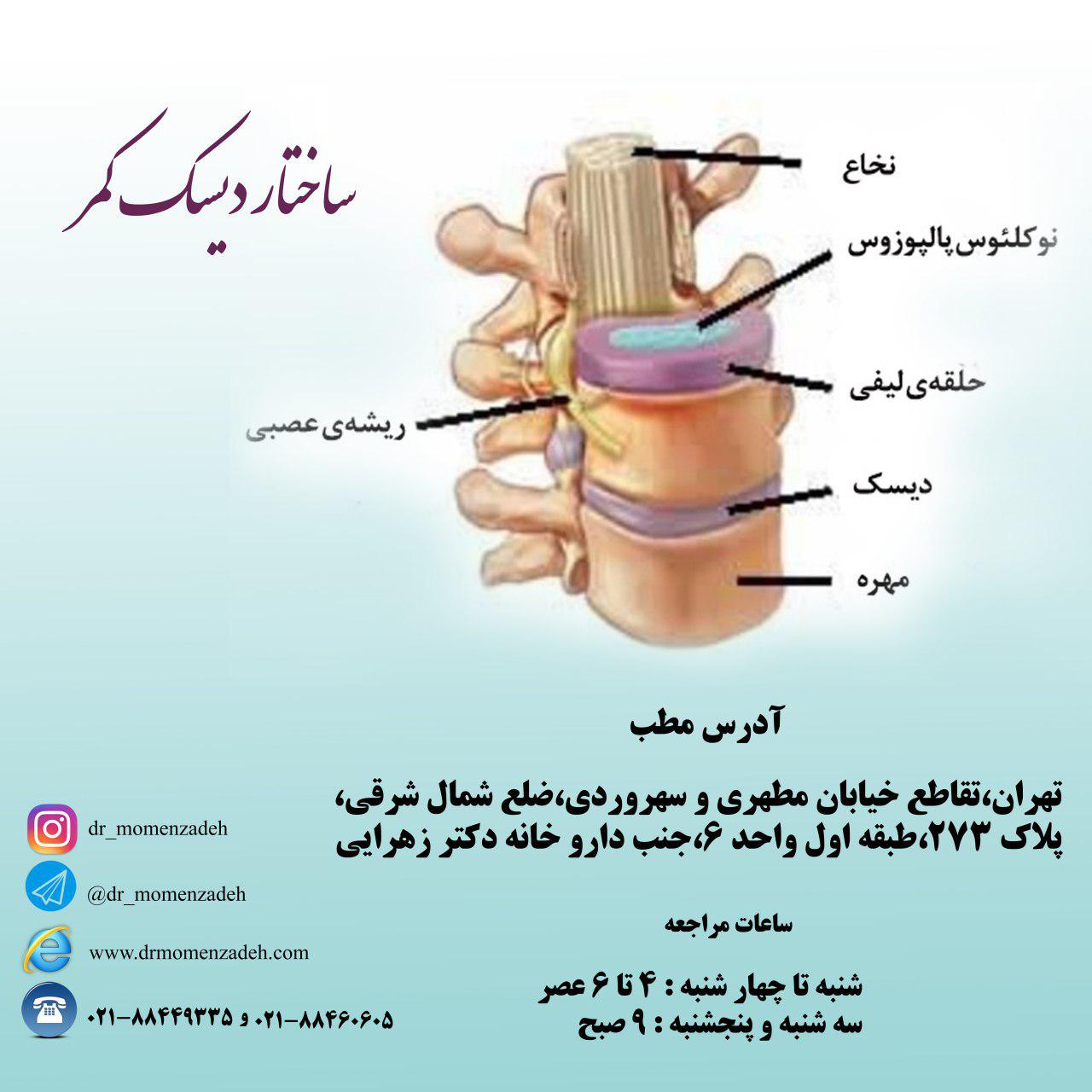 ساختار دیسک کمر: