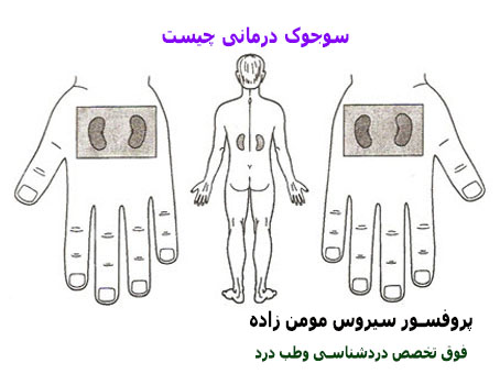 سوجوک تراپی چیست