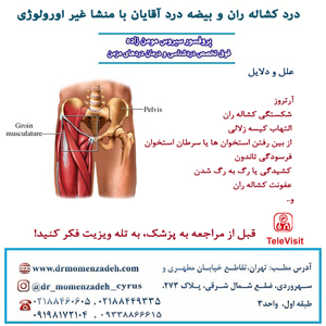 درد کشاله ران و بیضه