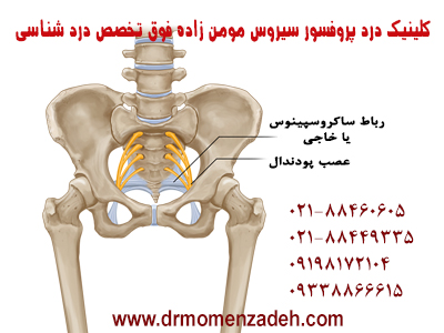 درد نورالژی پودندال دردی که لگن و ناحیه تناسلی را در برمی گیرد