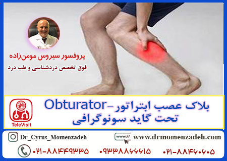 بلاک عصب ابتراتور-Obturator تحت گاید سونوگرافی