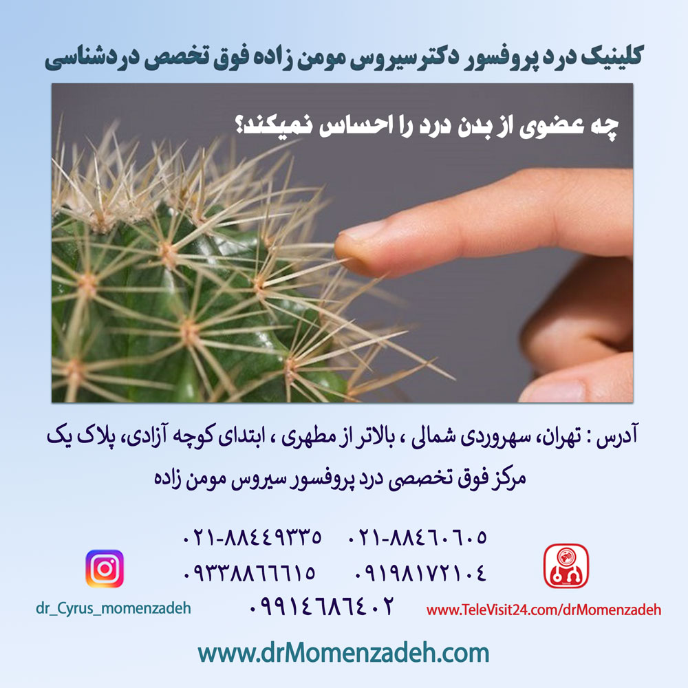 چه عضوی از بدن درد را احساس نمیکند؟