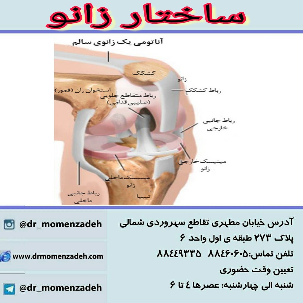 ورزشی آسان برای تسکین درد زانو