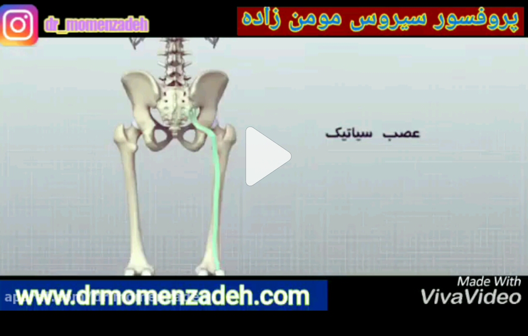آناتومی عصب مفصل ران -دوبله ی فارسی(بخش پایانی)