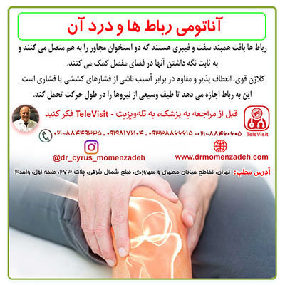 آناتومی رباط ها و درد آن