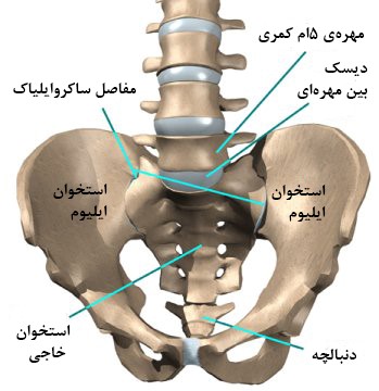 بلاک مفصل ساکروایلیاک با روش سینرژی