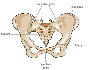 مفصل ساکروایلیاک