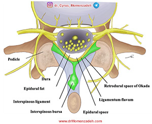 drMomenzadeh