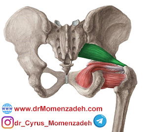 drMomenzadeh