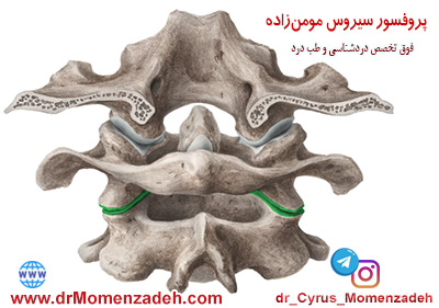 درد مفصل آتلاتنوآگزیال, دکتر سیروس مومن زاده,پروفسور دکتر سیروس مومن زاده, درد, درمان درد,درمان درد با لیزر, لیزر درمانی,لیزر تراپی , اوزون تراپی, ازن تراپی, ازون درمانی, درد مچ دست, درد مفصل شست,  درد انگشت دست, درد جسمی, درد روحی, درد معنوی, درد بدن, درد کمر, درد پا, دردصورت, دردچانه, درد اجتماعی، درد گردن, گردن درد, 