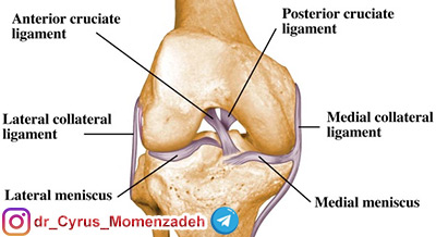 دکتر سیروس مومن زاده