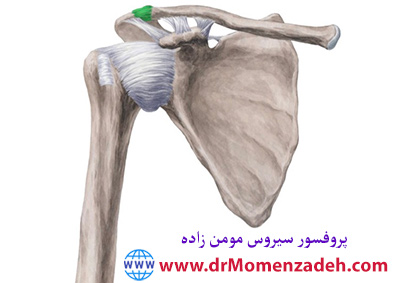 پرفسور دکتر سیروس مومن زاده, پروفسور دکتر سیروس مومن زاده, درد, درمان درد,درمان درد با لیزر, لیزر درمانی,لیزر تراپی , اوزون تراپی, ازن تراپی, ازون درمانی, درد مچ دست, درد مفصل شست,  درد انگشت دست, درد جسمی, درد روحی, درد معنوی, درد بدن, درد کمر, درد پا, دردچانه, درد صورت,درد شانه