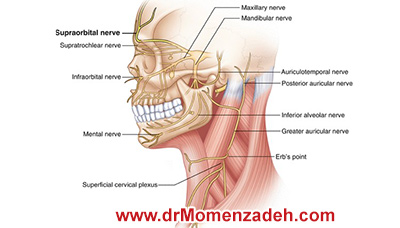 drMomenzadeh, پرفسور دکتر سیروس مومن زاده, دکتر سیروس مومن زاده,پروفسور دکتر سیروس مومن زاده, درد, درمان درد,درمان درد با لیزر, لیزر درمانی,لیزر تراپی , اوزون تراپی, ازن تراپی, ازون درمانی, درد مچ دست, درد مفصل شست,  درد انگشت دست, درد جسمی, درد روحی, درد معنوی, درد بدن, درد کمر, درد پا, دردصورت, دردچانه, درد اجتماعی، درد گردن, گردن درد,درد شانه ,سر شانه, تونل کارپال, کف دست, مفصل آرنج, درد بازو, درد آرنج, درد ترقوه, عصب سوپرا اربیتال