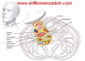 www.drMomenzadeh.com, پرفسور دکتر سیروس مومن زاده, دکتر سیروس مومن زاده,پروفسور دکتر سیروس مومن زاده, درد, درمان درد,درمان درد با لیزر, لیزر درمانی,لیزر تراپی , اوزون تراپی, ازن تراپی, ازون درمانی, درد مچ دست, درد مفصل شست,  درد انگشت دست, درد جسمی, درد روحی, درد معنوی, درد بدن, درد کمر, درد پا, دردصورت, دردچانه, درد اجتماعی، درد گردن, گردن درد,درد شانه ,سر شانه, تونل کارپال, کف دست, مفصل آرنج, درد بازو, درد آرنج, درد ترقوه, سمپاتیک گردنی