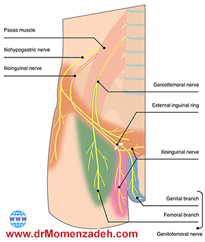 www.drMomenzadeh.com, پرفسور دکتر سیروس مومن زاده, دکتر سیروس مومن زاده,پروفسور دکتر سیروس مومن زاده, درد, درمان درد,درمان درد با لیزر, لیزر درمانی,لیزر تراپی , اوزون تراپی, ازن تراپی, ازون درمانی, درد مچ دست, درد مفصل شست,  درد انگشت دست, درد جسمی, درد روحی, درد معنوی, درد بدن, درد کمر, درد پا, دردصورت, دردچانه, درد اجتماعی، درد گردن, گردن درد,درد شانه ,سر شانه, تونل کارپال, کف دست, مفصل آرنج, درد بازو, درد آرنج, درد ترقوه, عصب سوپرا اربیتال, عصب جمینوفمورال