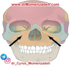 drMomenzadeh, پرفسور دکتر سیروس مومن زاده, دکتر سیروس مومن زاده,پروفسور دکتر سیروس مومن زاده, درد, درمان درد,درمان درد با لیزر, لیزر درمانی,لیزر تراپی , اوزون تراپی, ازن تراپی, ازون درمانی, درد مچ دست, درد مفصل شست,  درد انگشت دست, درد جسمی, درد روحی, درد معنوی, درد بدن, درد کمر, درد پا, دردصورت, دردچانه, درد اجتماعی، درد گردن, گردن درد,درد شانه ,سر شانه, تونل کارپال, کف دست, مفصل آرنج, درد بازو, درد آرنج, درد ترقوه, عصب سوپرا اربیتال, بلاک عصب اینفرا اربیتال