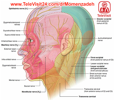 drMomenzadeh, پرفسور دکتر سیروس مومن زاده, دکتر سیروس مومن زاده,پروفسور دکتر سیروس مومن زاده, درد, درمان درد,درمان درد با لیزر, لیزر درمانی,لیزر تراپی , اوزون تراپی, ازن تراپی, ازون درمانی, درد مچ دست, درد مفصل شست,  درد انگشت دست, درد جسمی, درد روحی, درد معنوی, درد بدن, درد کمر, درد پا, دردصورت, دردچانه, درد اجتماعی، درد گردن, گردن درد,درد شانه ,سر شانه, تونل کارپال, کف دست, مفصل آرنج, درد بازو, درد آرنج, درد ترقوه, عصب سوپرا اربیتال, بلاک عصب اینفرا اربیتال, تحریک عصب اکسیپیتال