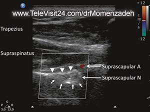 drMomenzadeh