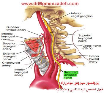 بلاک عصب راجعه حنجره, پروفسور دکتر سیروس مومن زاده,  دکتر سیروس مومن زاده ,سیروس مومن زاده, پروفسور سیروس مومن زاده, درد شناسی, فوق تخصص, درمان درد, درد, لیزر درمانی, لیزرتراپی, ازن تراپی, اوزون درمانی, درد کمر, کمردرد, درد پا, درد گردن, گردن درد, درد دست, زانو درد, درد زانو, مفاصل فست گردنی, ستون فقرات, آرتریت, پشت سر, ضعف سیستم ایمنی, گاید سونوگرافی,  درد حنجره, درد حنجره, درد دهان, درد بازو, بلاک شبکه بازویی, فست گردن, درد کنار گردن تا قفسه سینه, مچ دست، درد آرنج, عصب راجعه حنجره