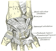 drMomenzadeh