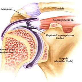 drMomenzadeh