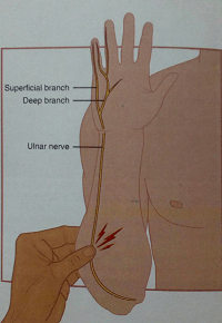 drMomenzadeh