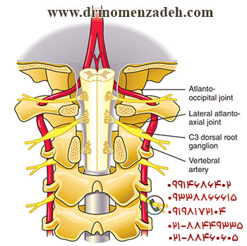 drMomenzadeh