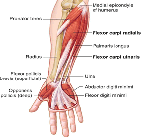 drMomenzadeh