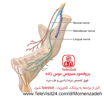 drMomenzadeh,پروفسور دکتر سیروس مومن زاده, دکتر سیروس مومن زاده ,سیروس مومن زاده, پروفسور سیروس مومن زاده, درد شناسی, فوق تخصص, درمان درد, درد, لیزر درمانی, لیزرتراپی, ازن تراپی, اوزون درمانی, درد کمر, کمردرد, درد پا, درد گردن, گردن درد, درد دست, زانو درد, درد زانو, مفاصل فست گردنی, ستون فقرات, آرتریت, پشت سر, ضعف سیستم ایمنی, گاید سونوگرافی, درد حنجره, درد حنجره, درد دهان, درد بازو, بلاک شبکه بازویی, عصب اینفریور آلوئولار, عصب مندیبولار, ,Mandibular Inferior Alveolar