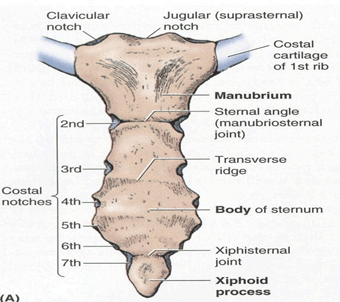 drMomenzadeh