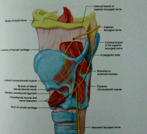 drMomenzadeh