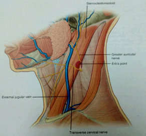 drMomenzadeh