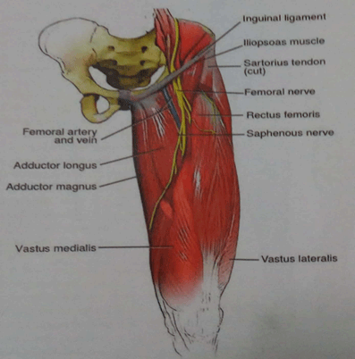 drMomenzadeh