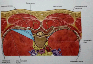 drMomenzadeh