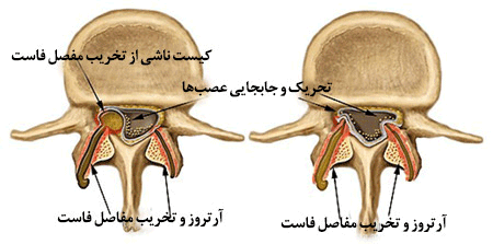 drMomenzadeh