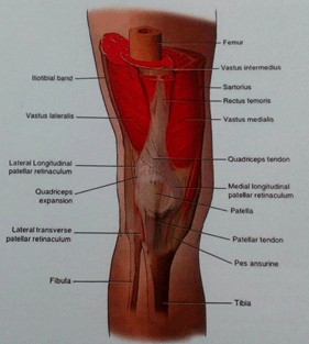 drMomenzadeh