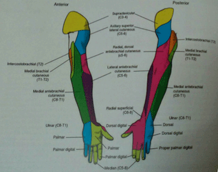 drMomenzadeh