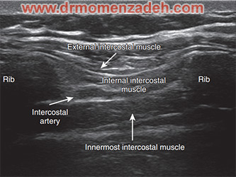 drMomenzadeh