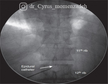 drMomenzadeh