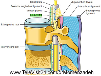 drMomenzadeh