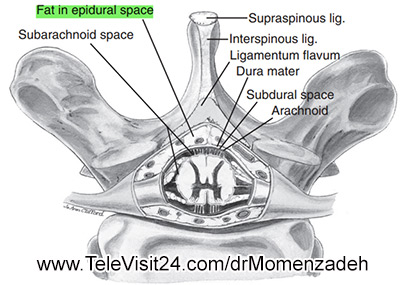 drMomenzadeh